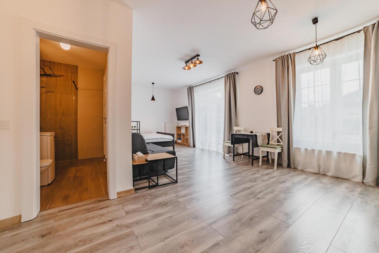 בראשוב Schiller Studio 64 - Free Private Parking מראה חיצוני תמונה